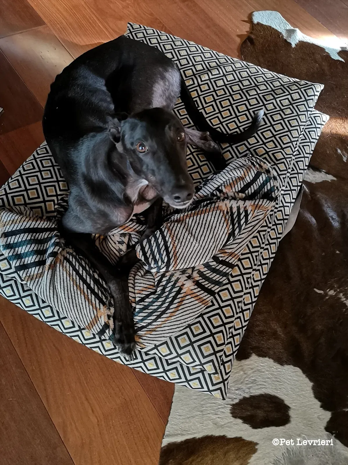 eZy Watermark 17 08 2023 04 18 11 0140PM