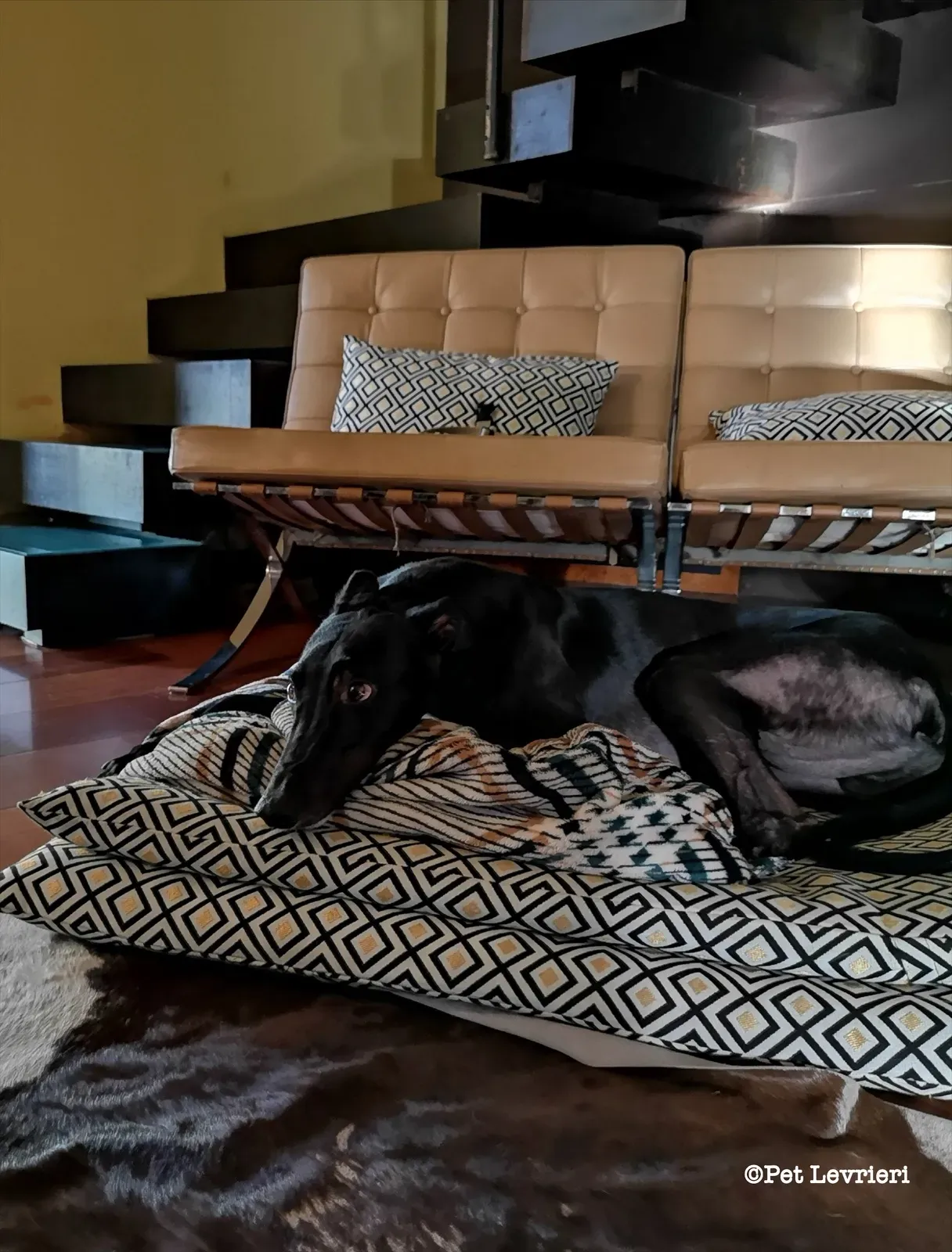 eZy Watermark 17 08 2023 04 18 50 2110PM