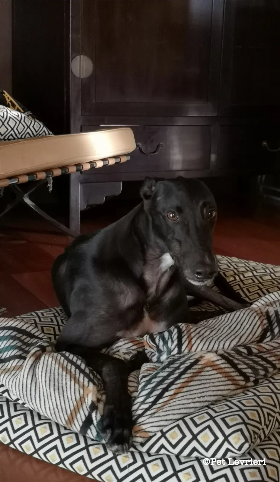 eZy Watermark 17 08 2023 04 19 24 8090PM