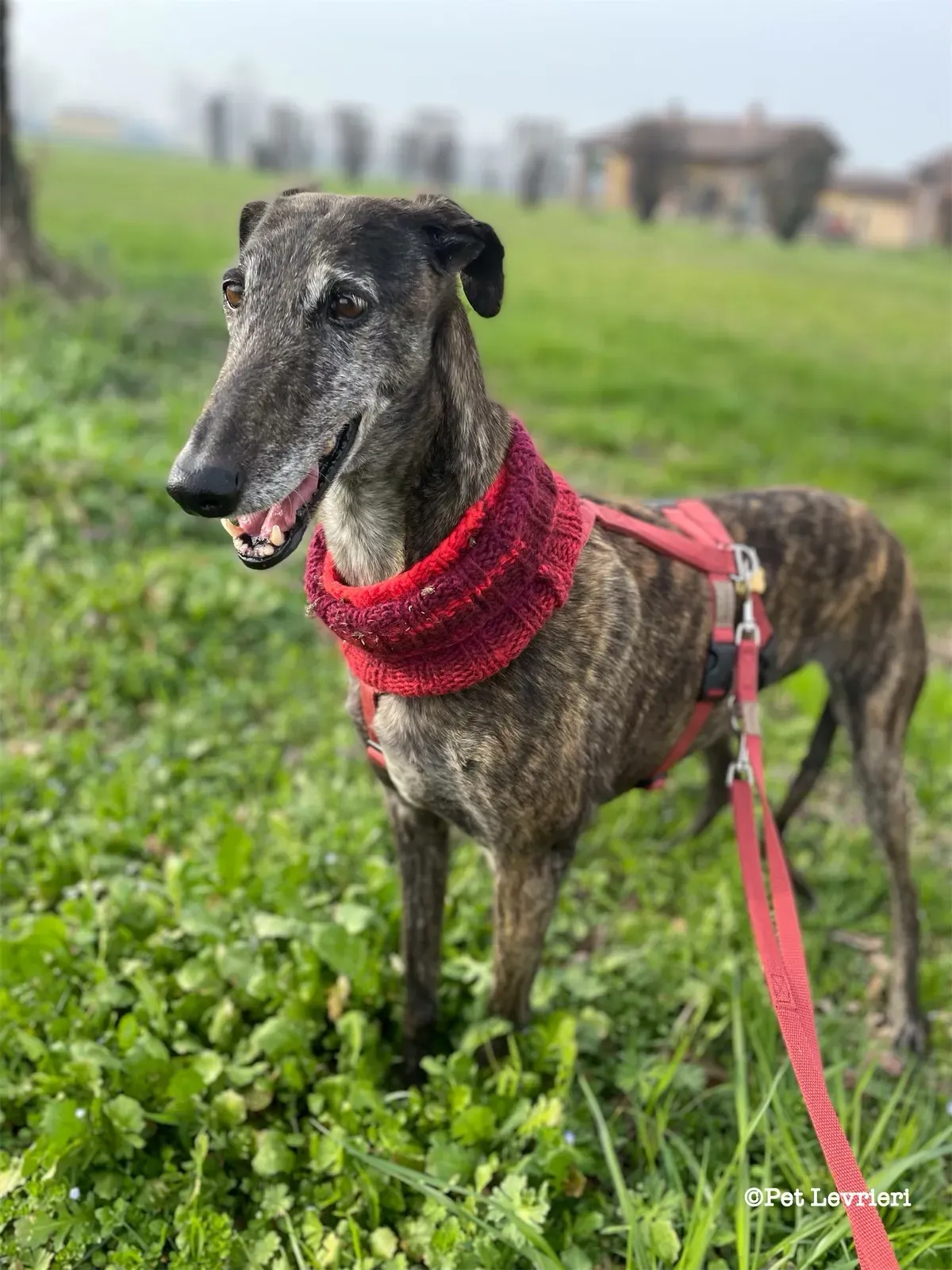 eZy Watermark 19 02 2024 11 59 44 0540AM