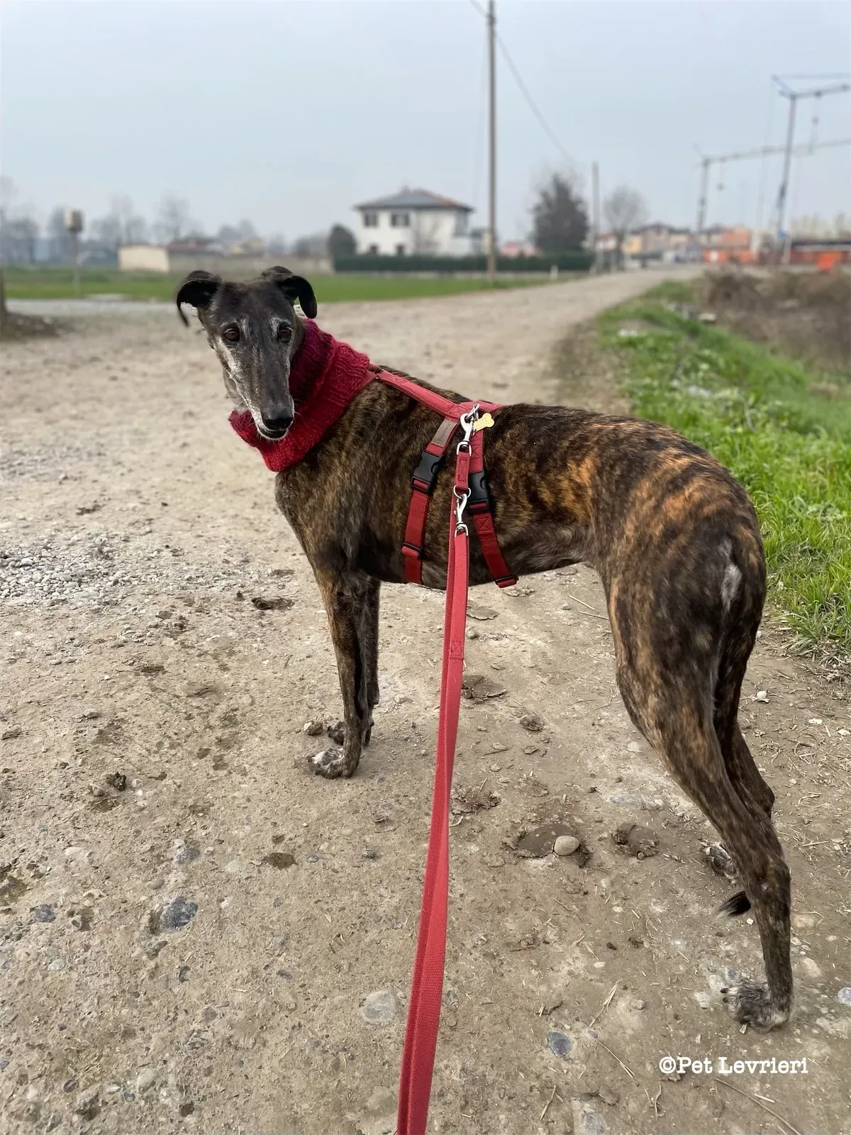 eZy Watermark 19 02 2024 12 00 51 5620PM