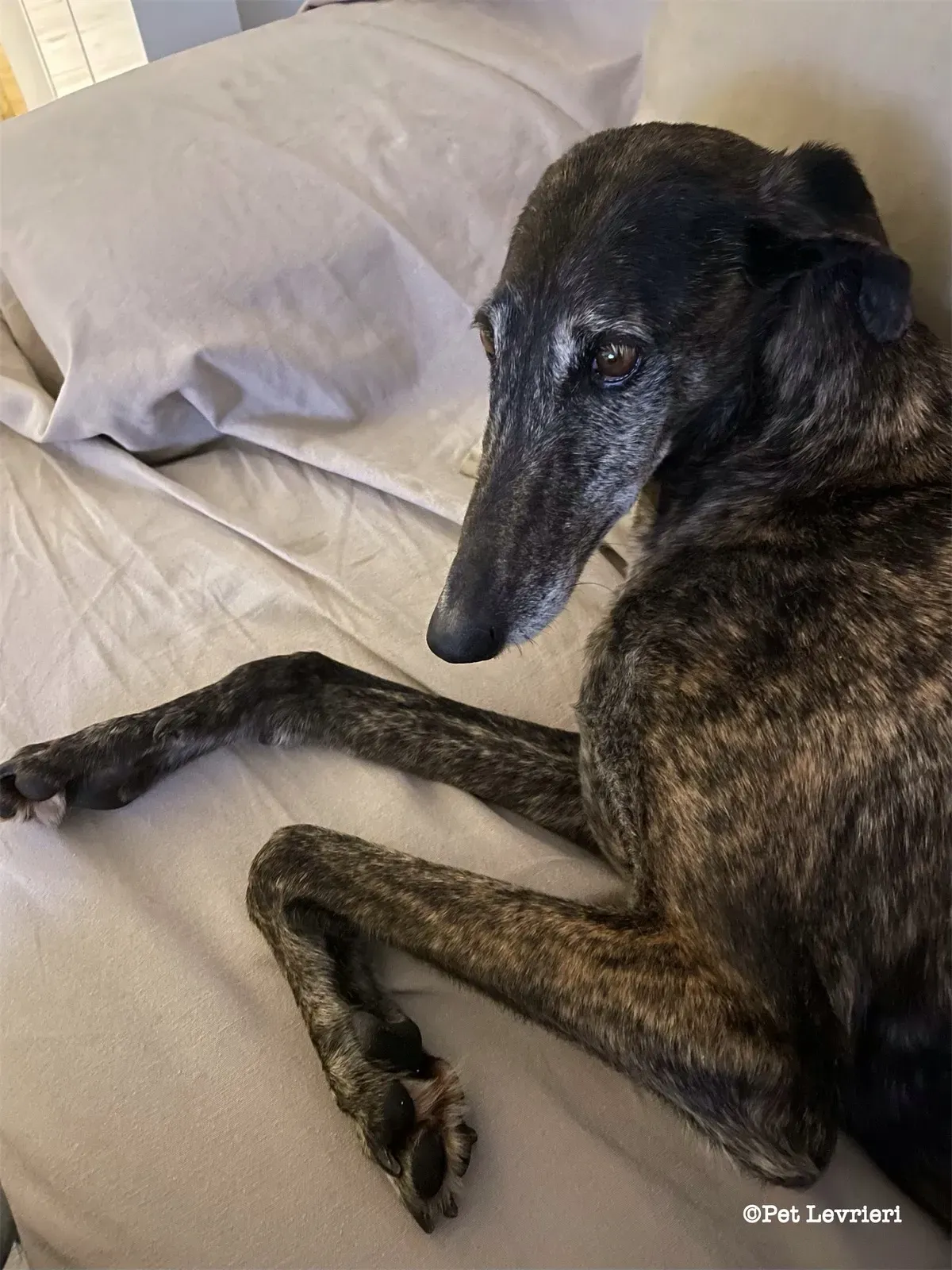 eZy Watermark 19 02 2024 12 05 22 9750PM