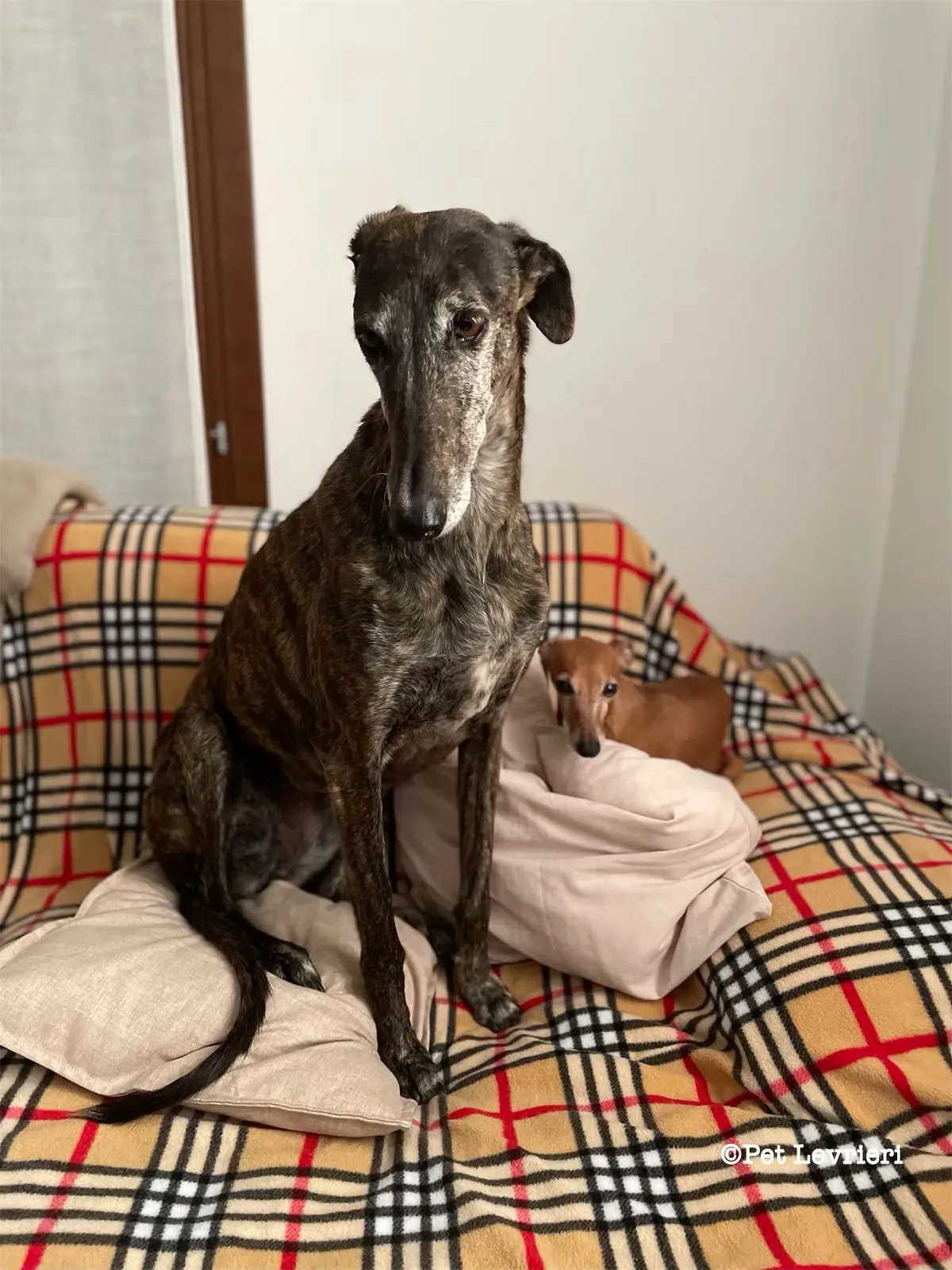 eZy Watermark 19 02 2024 12 11 17 6560PM