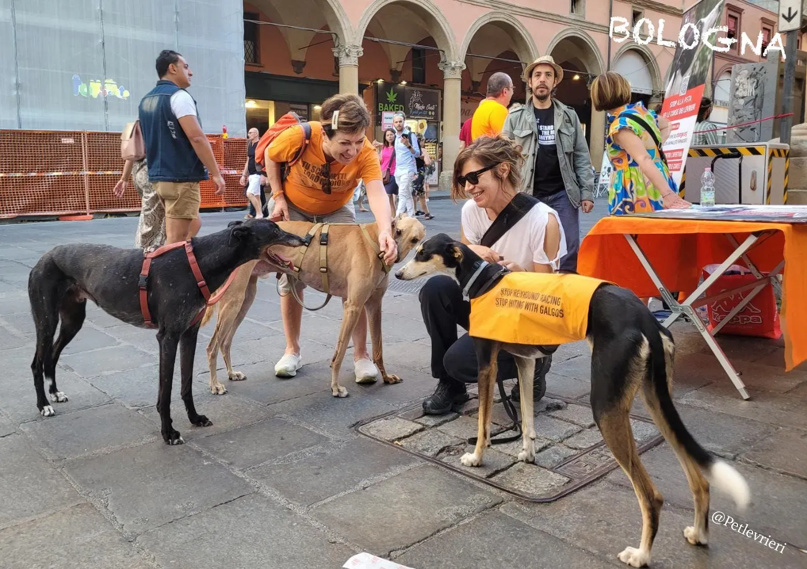 eb348589 a943 49fc 9df6 19688a7ca16d risultato