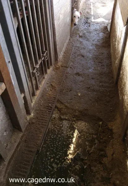 eccles blocked drains 2 orig