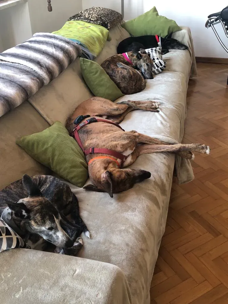 eefee7a1 7497 4eaa a06a 09a401a28291