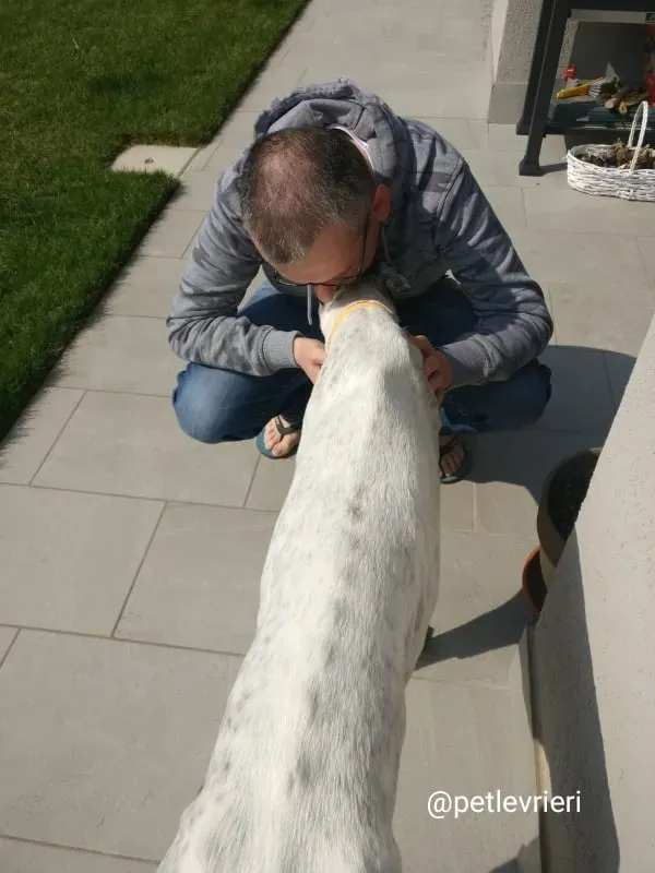 elite adozione macao 13