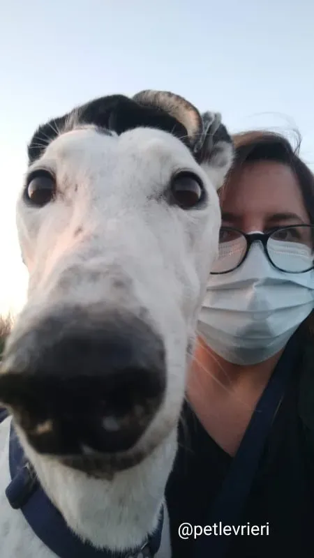 elite adozione macao 15