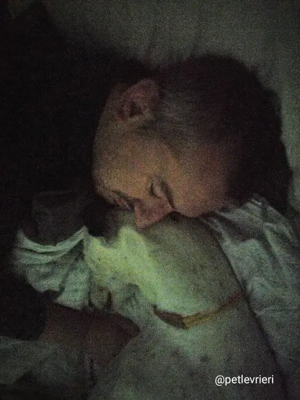 elite adozione macao 4