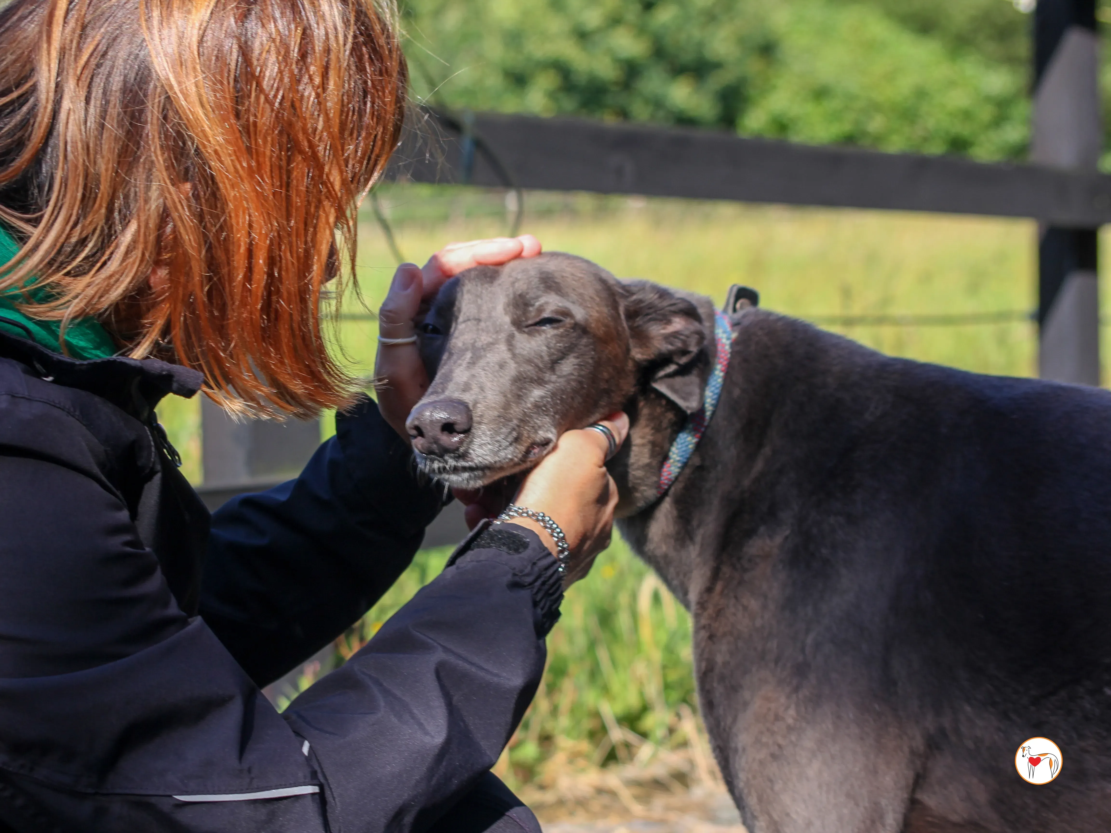 ellen grey adozione 22