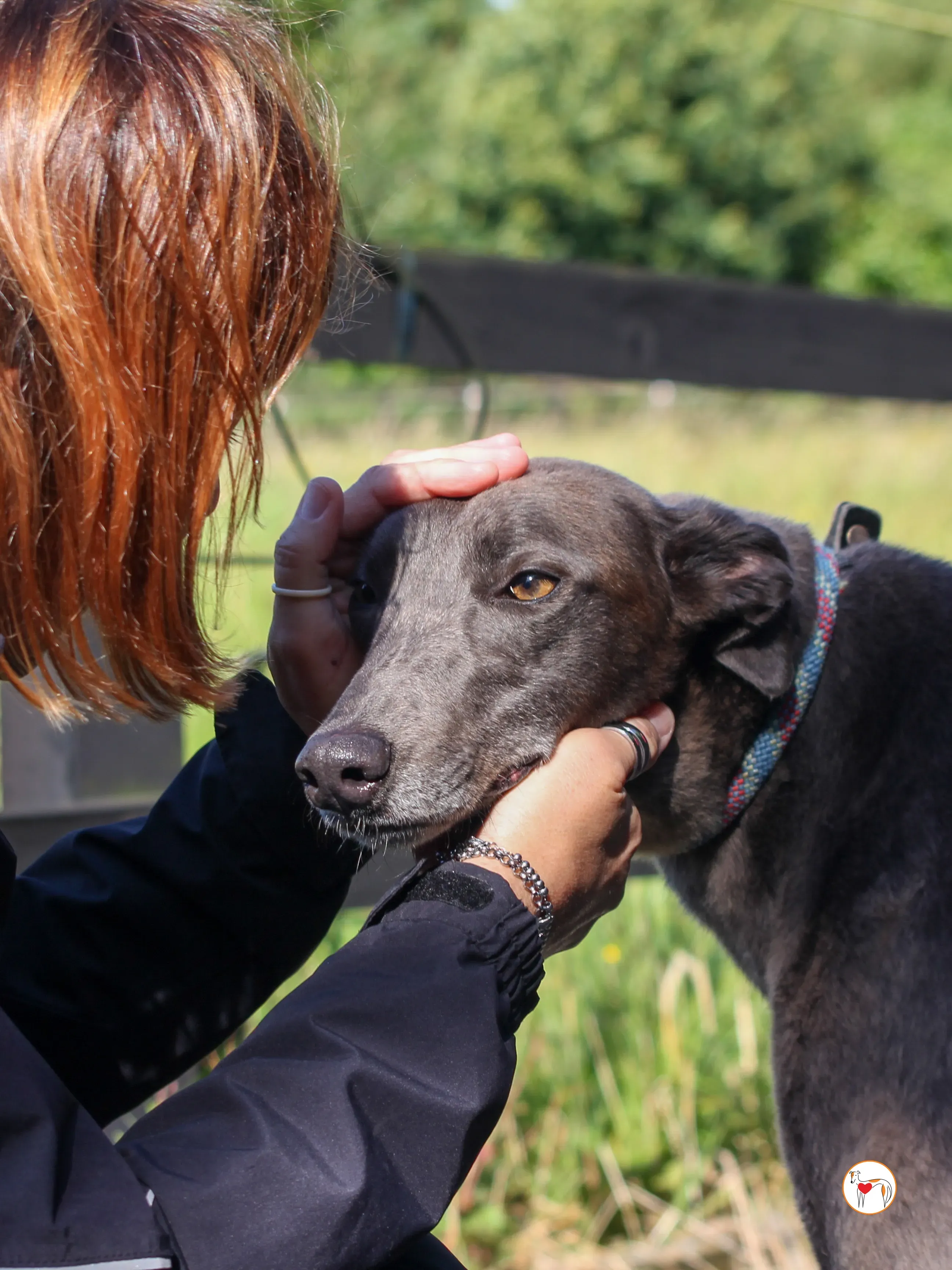 ellen grey adozione 23