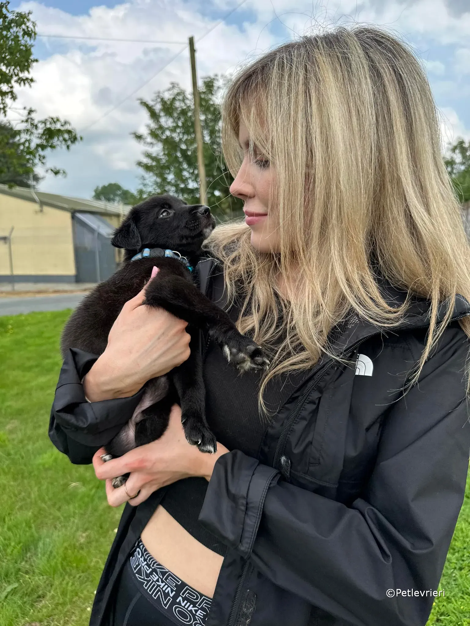 elvis adozione greyhound petlevrieri 12