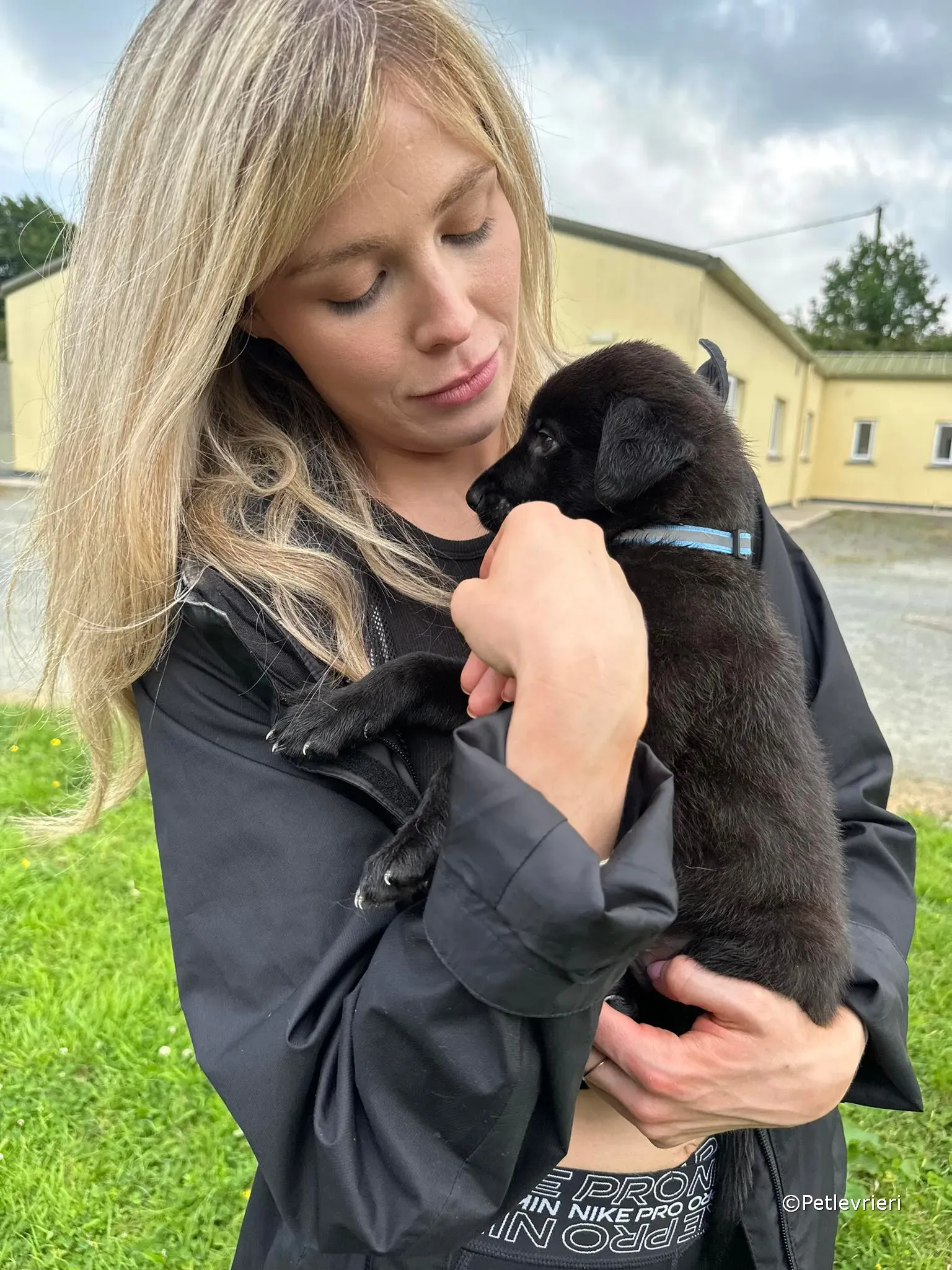 elvis adozione greyhound petlevrieri 15