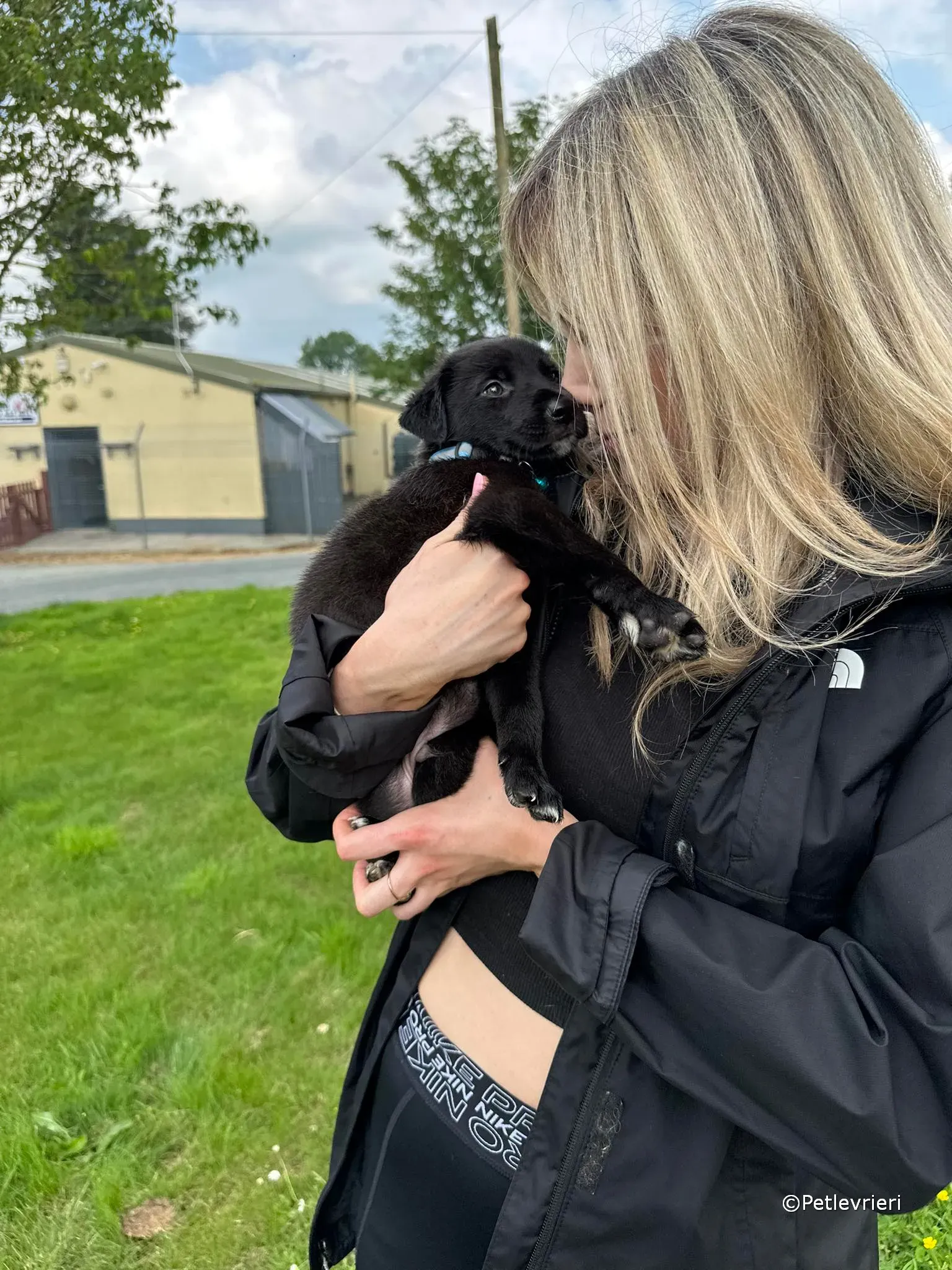 elvis adozione greyhound petlevrieri 18