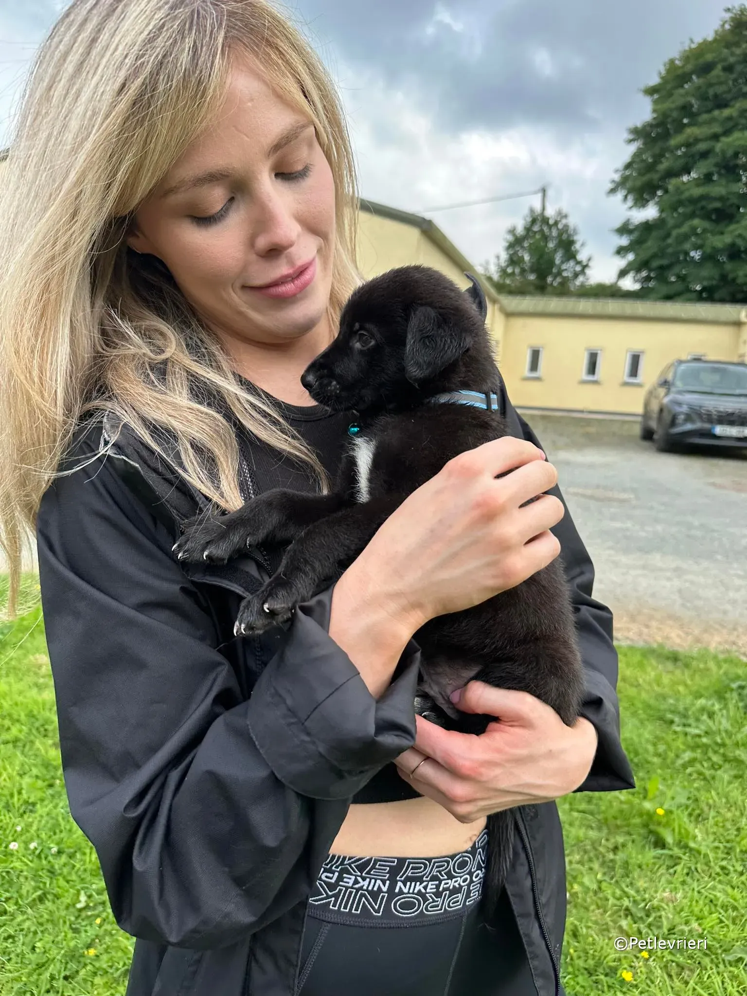 elvis adozione greyhound petlevrieri 19