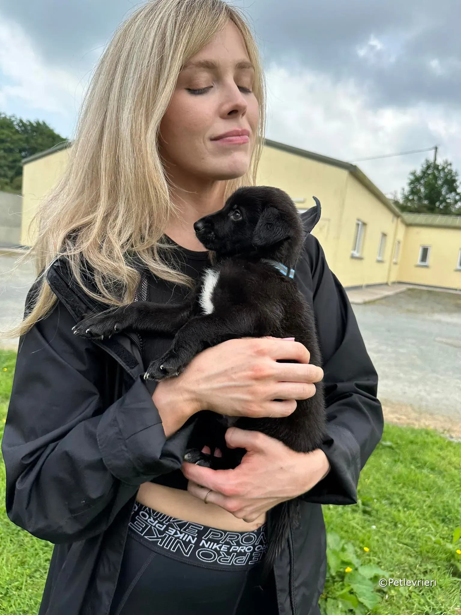 elvis adozione greyhound petlevrieri 25