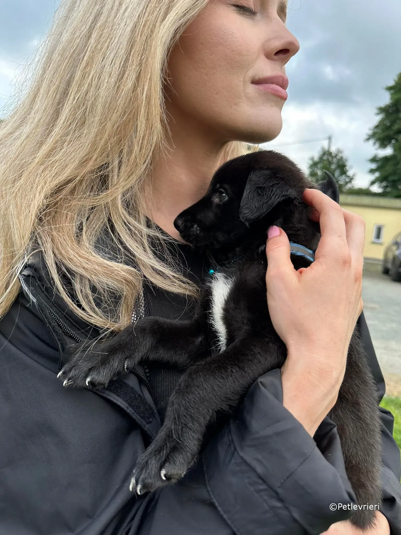 elvis adozione greyhound petlevrieri 27