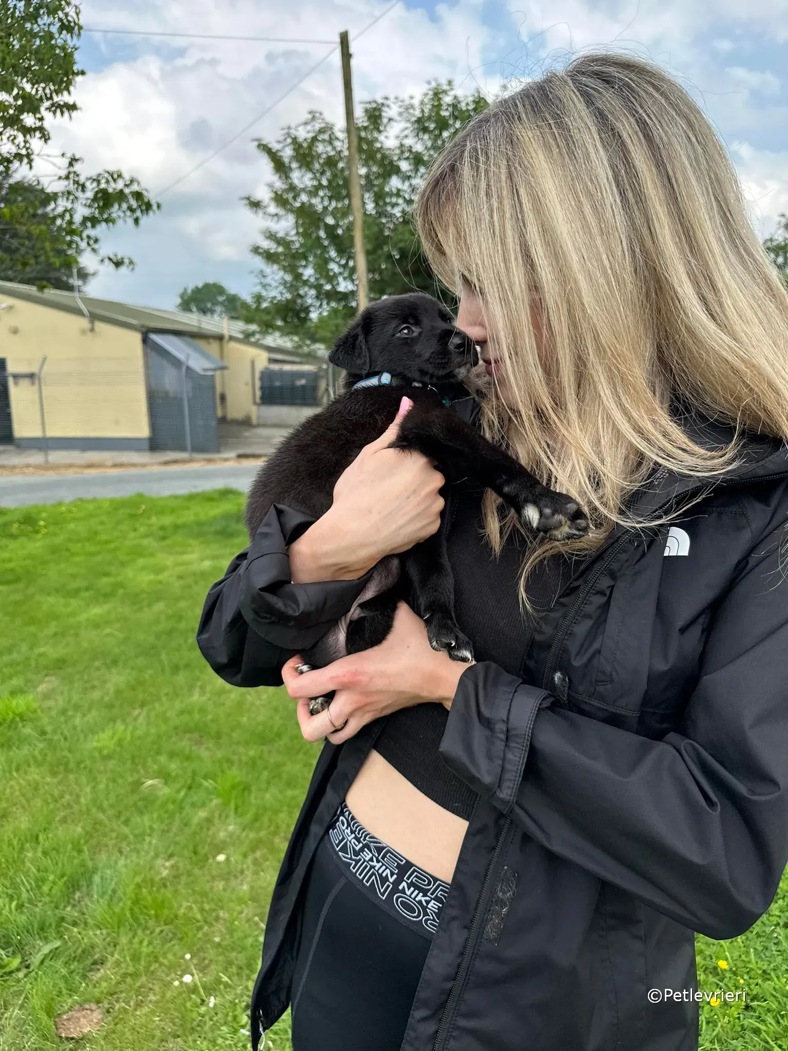 elvis adozione greyhound petlevrieri 30