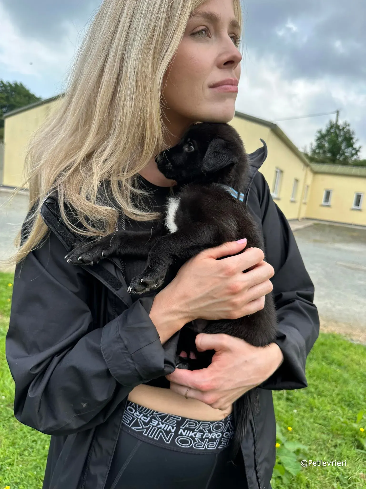 elvis adozione greyhound petlevrieri 31