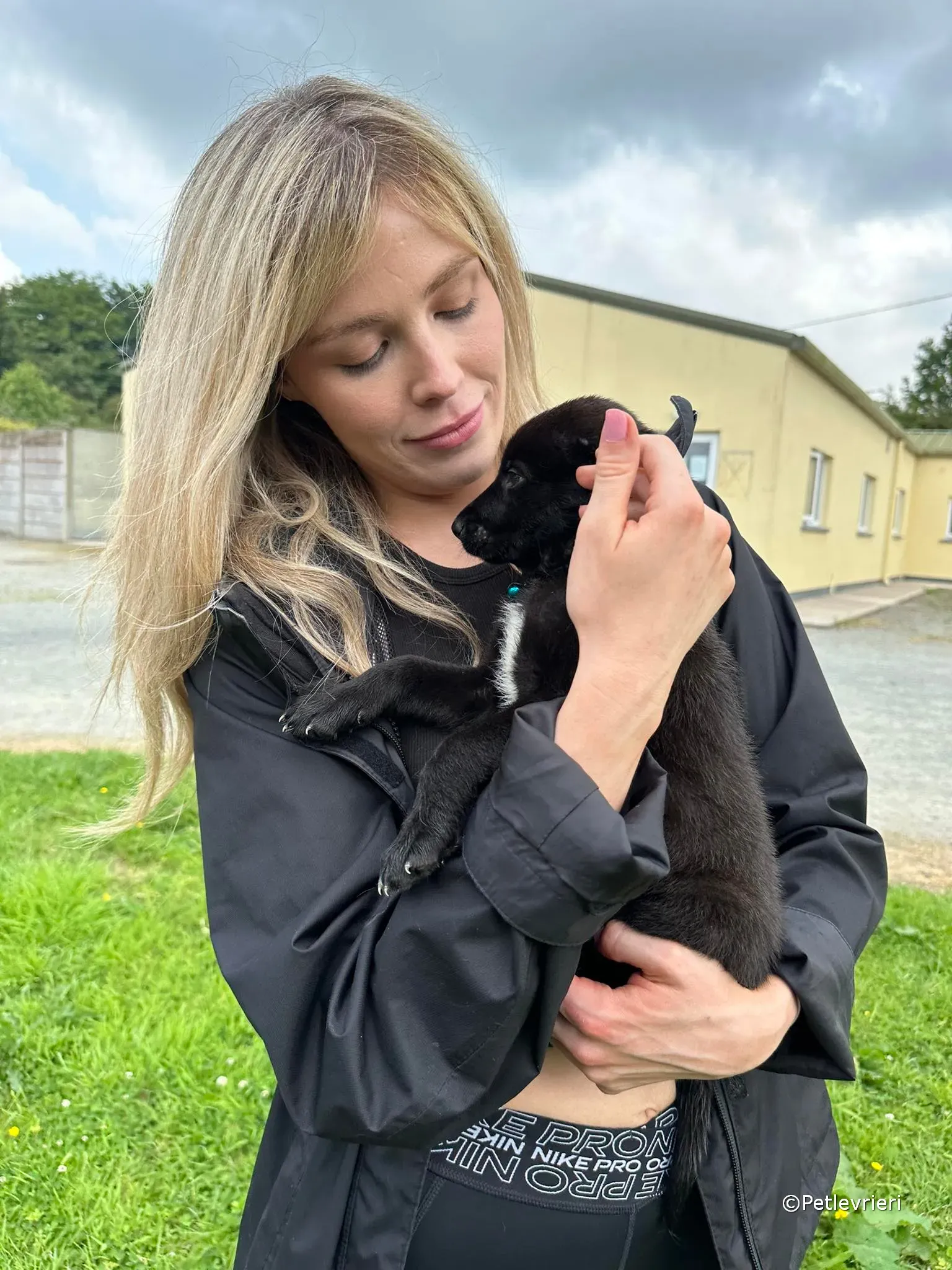 elvis adozione greyhound petlevrieri 32