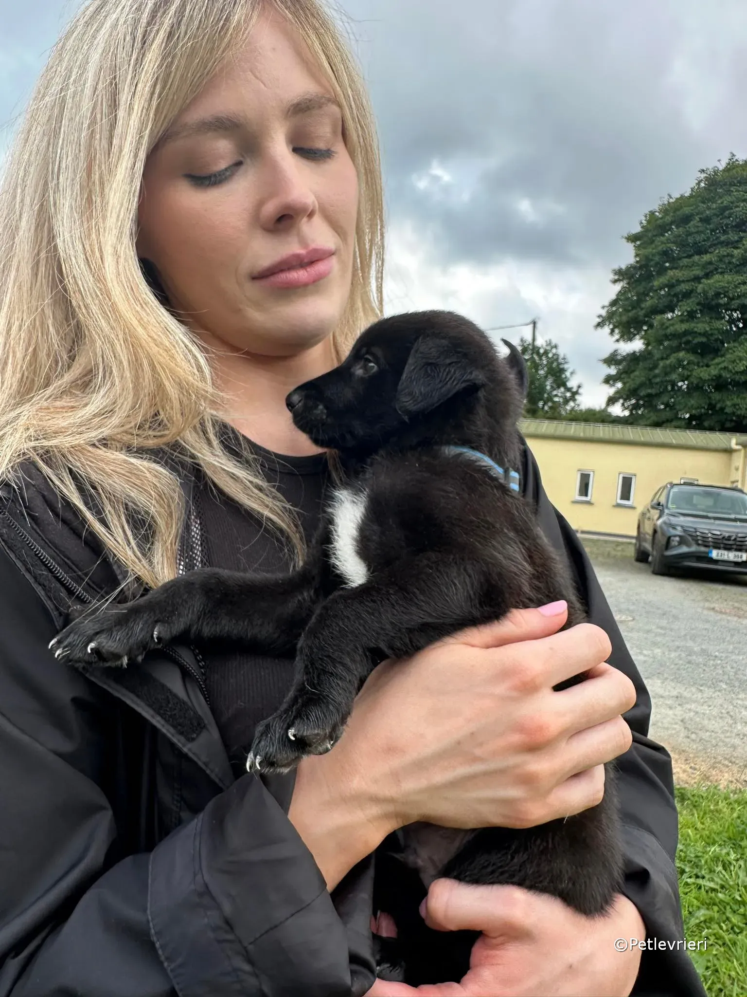 elvis adozione greyhound petlevrieri 34