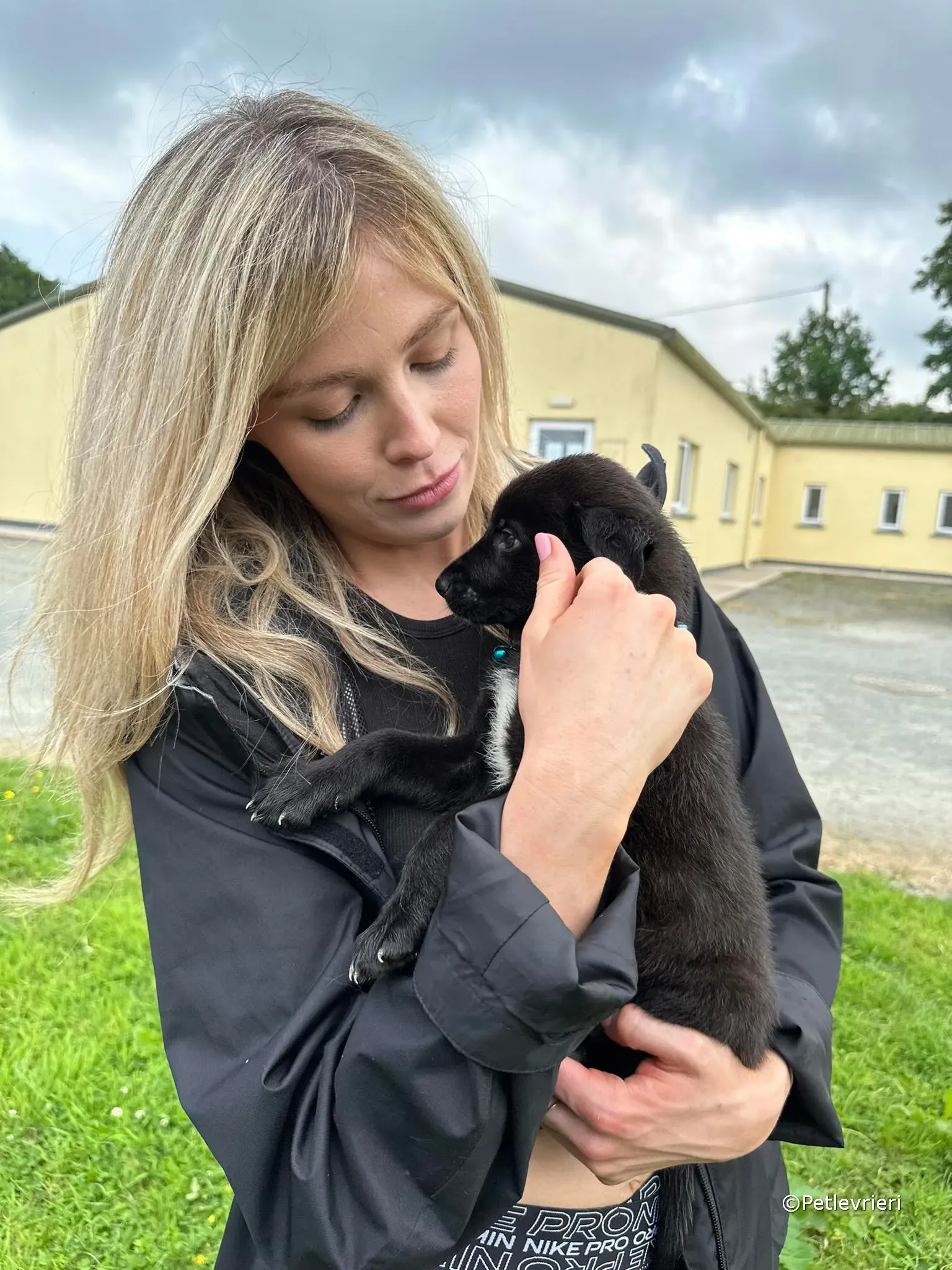 elvis adozione greyhound petlevrieri 48