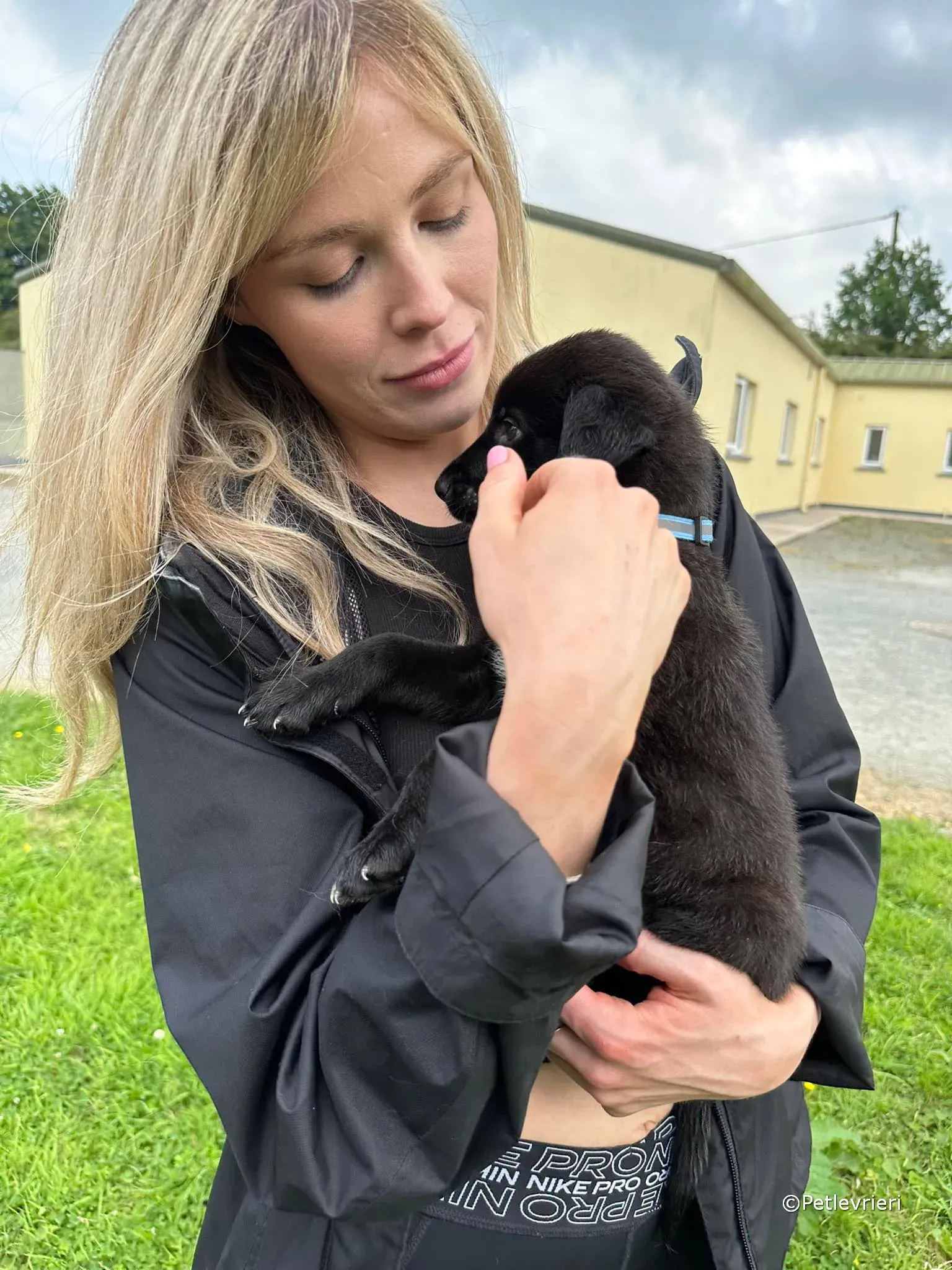 elvis adozione greyhound petlevrieri 61