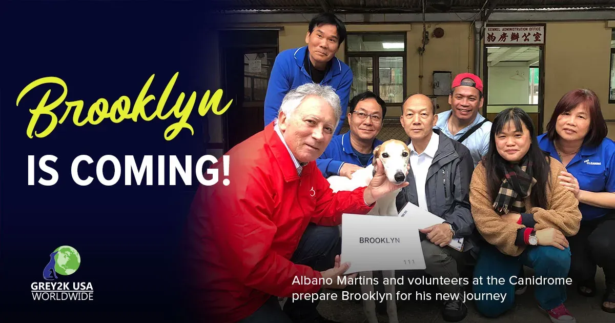 email 010819 brooklyn