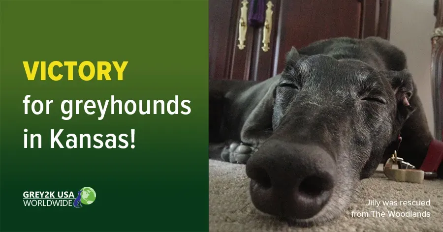 email 060220 take action jilly