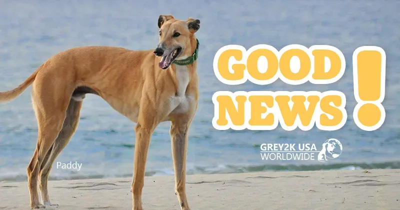 email 070224 goodnews