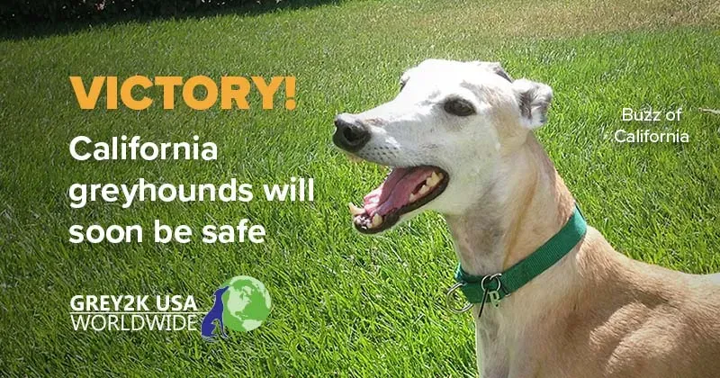 email 101121 victory