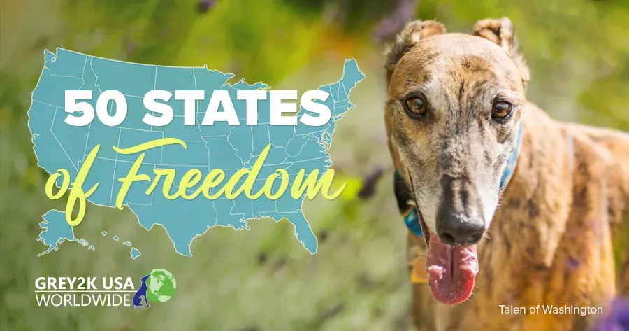 email 101819 arkansas