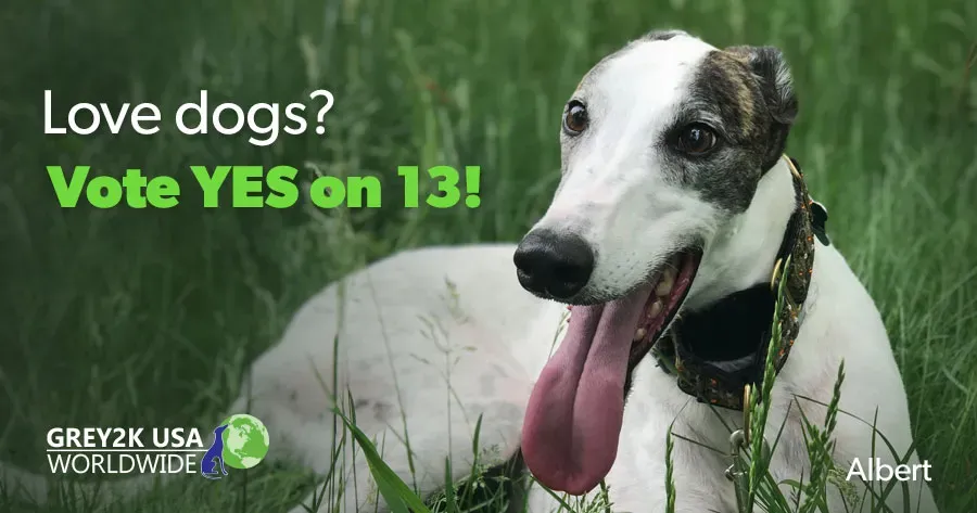 email 103018 florida