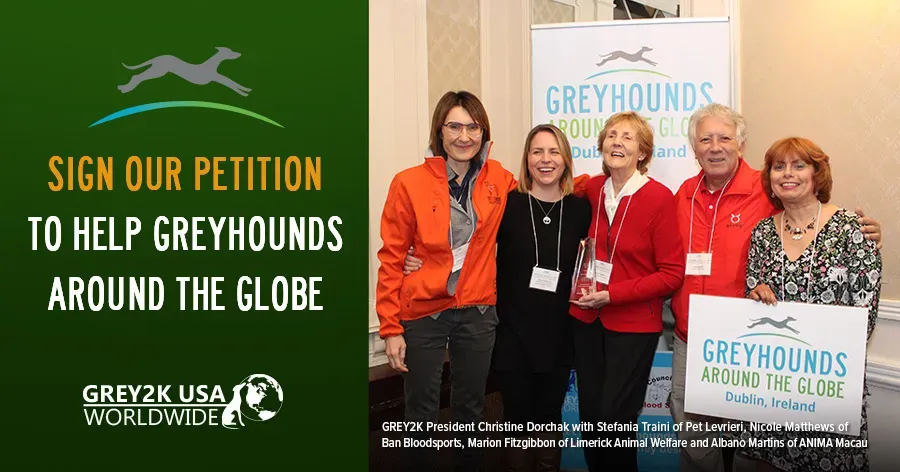 email 121019 ireland petition