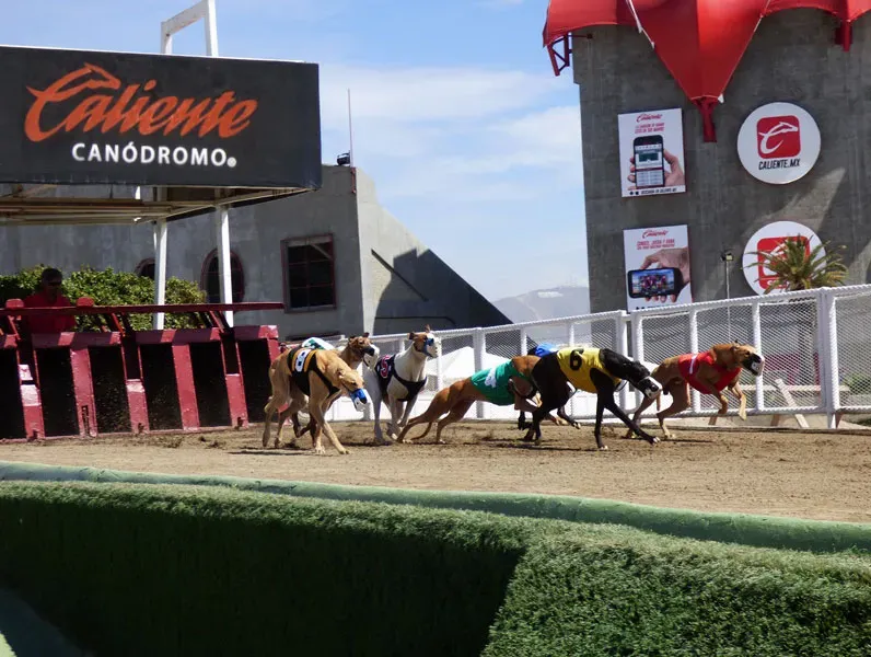 end the cruelty twinspirescruelty 1