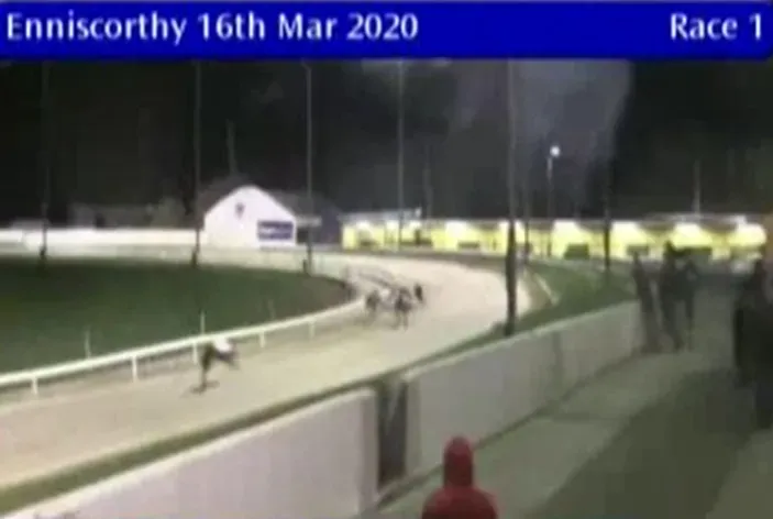 enniscorthy greyhound track 16 march 2020 49687028691 o