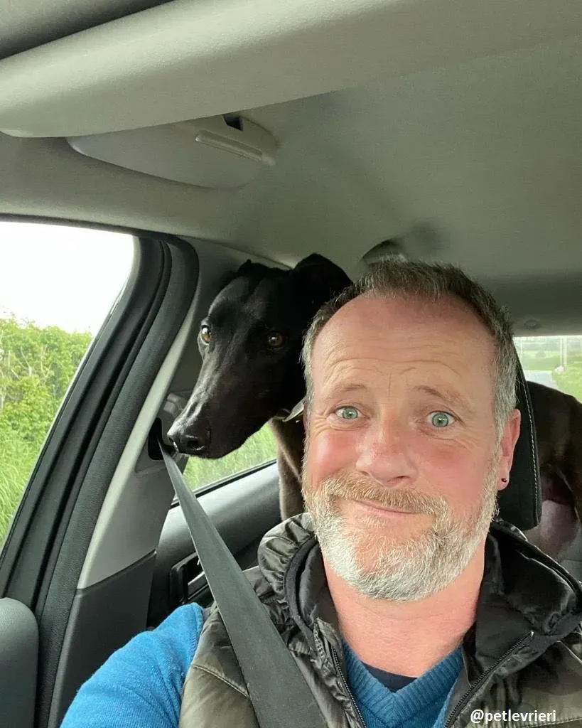 ernest adozione greyhound 12