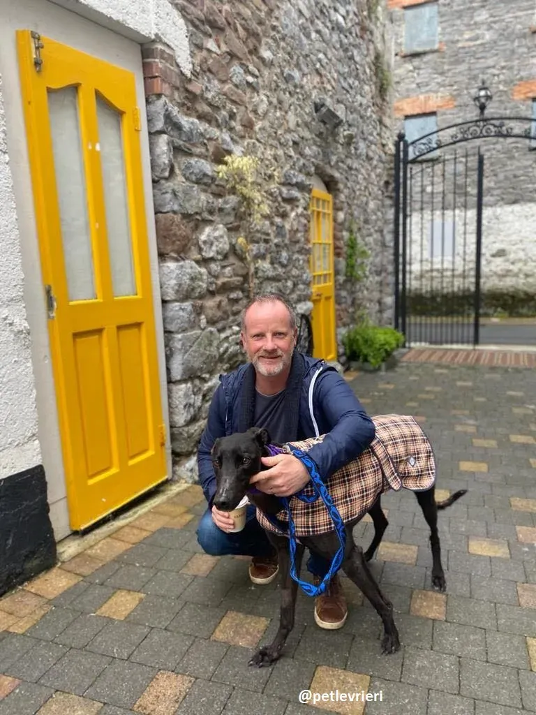 ernest adozione greyhound 2 2