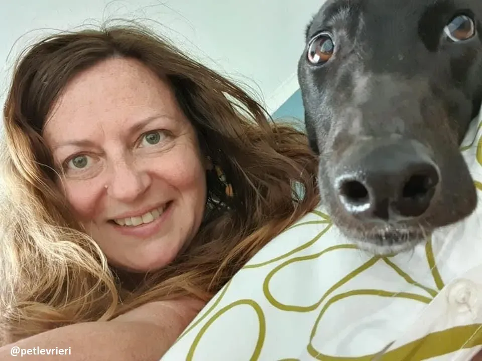 ernest adozione greyhound 3 1