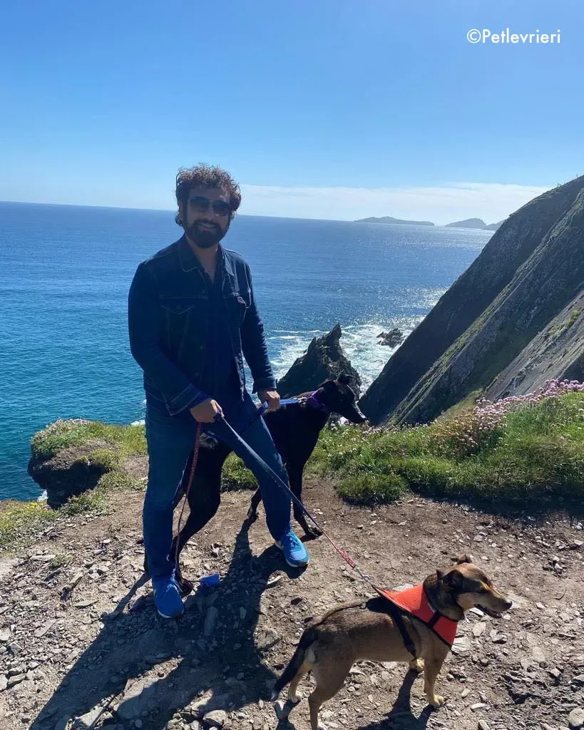 ernest adozione levrieri grehound 11