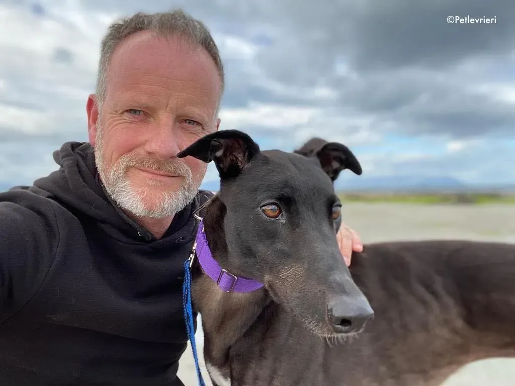 ernest adozione levrieri greyhound 21