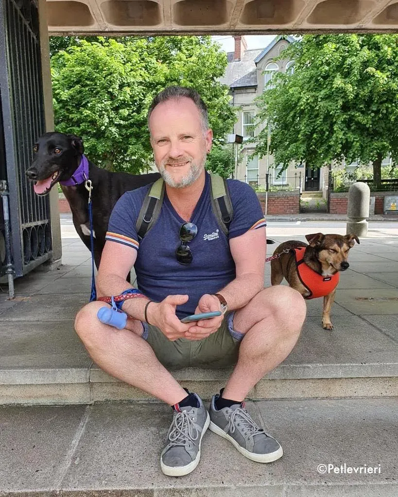 ernest adozione levrieri greyhound 26