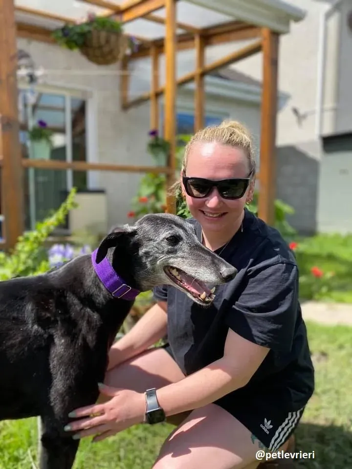 ethel adozione greyhound 7 1