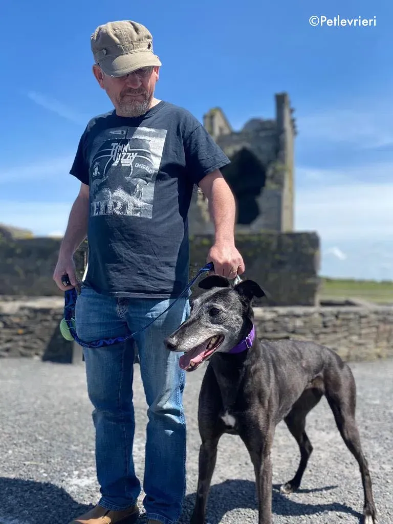 ethel adozione levrieri greyhound 12 1