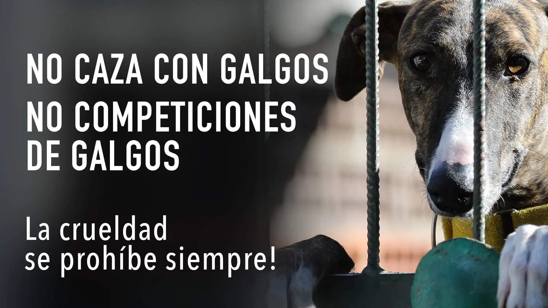 evento SITO manifestazione spagna 2019