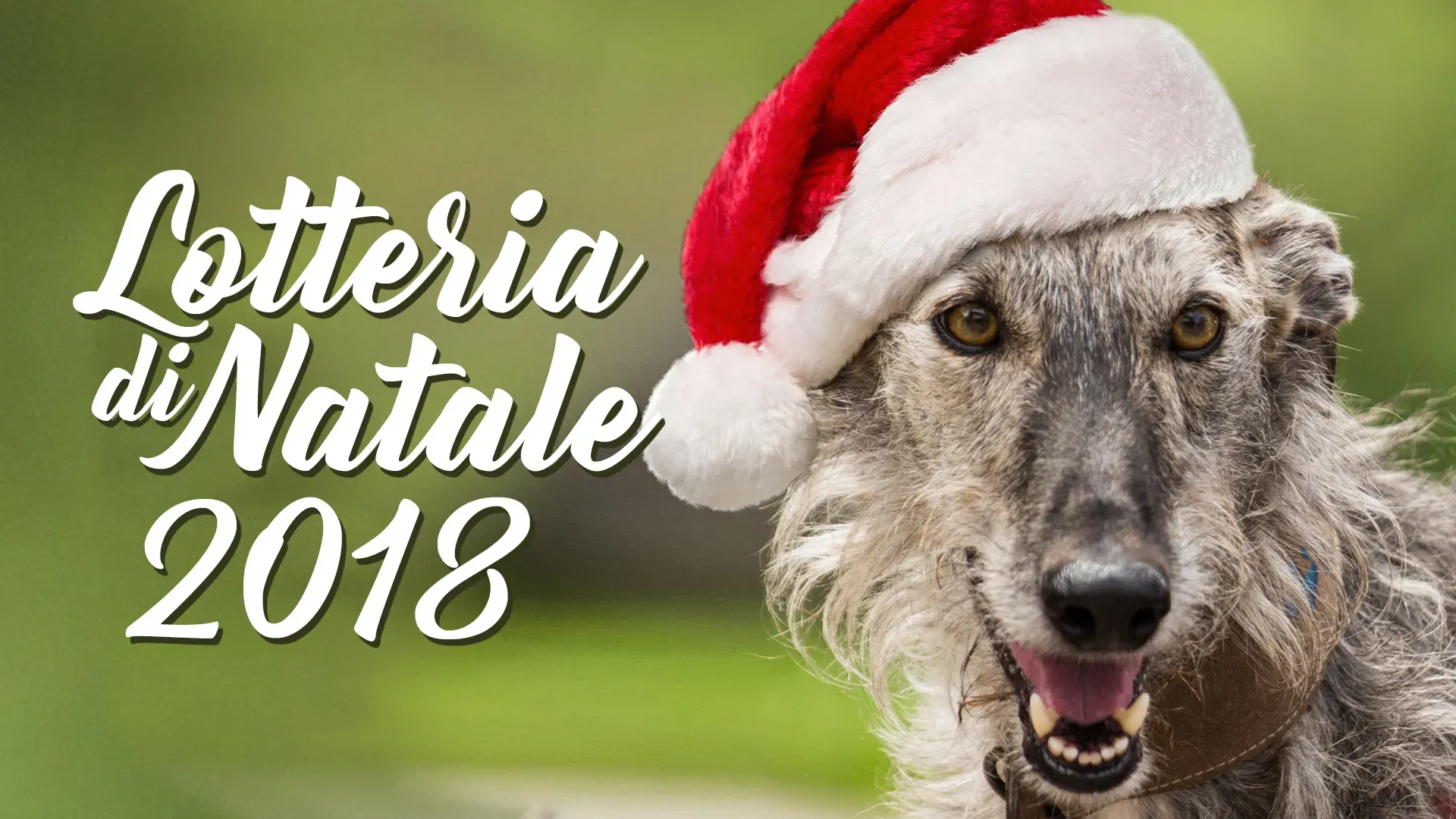 evento SITO natale 2018