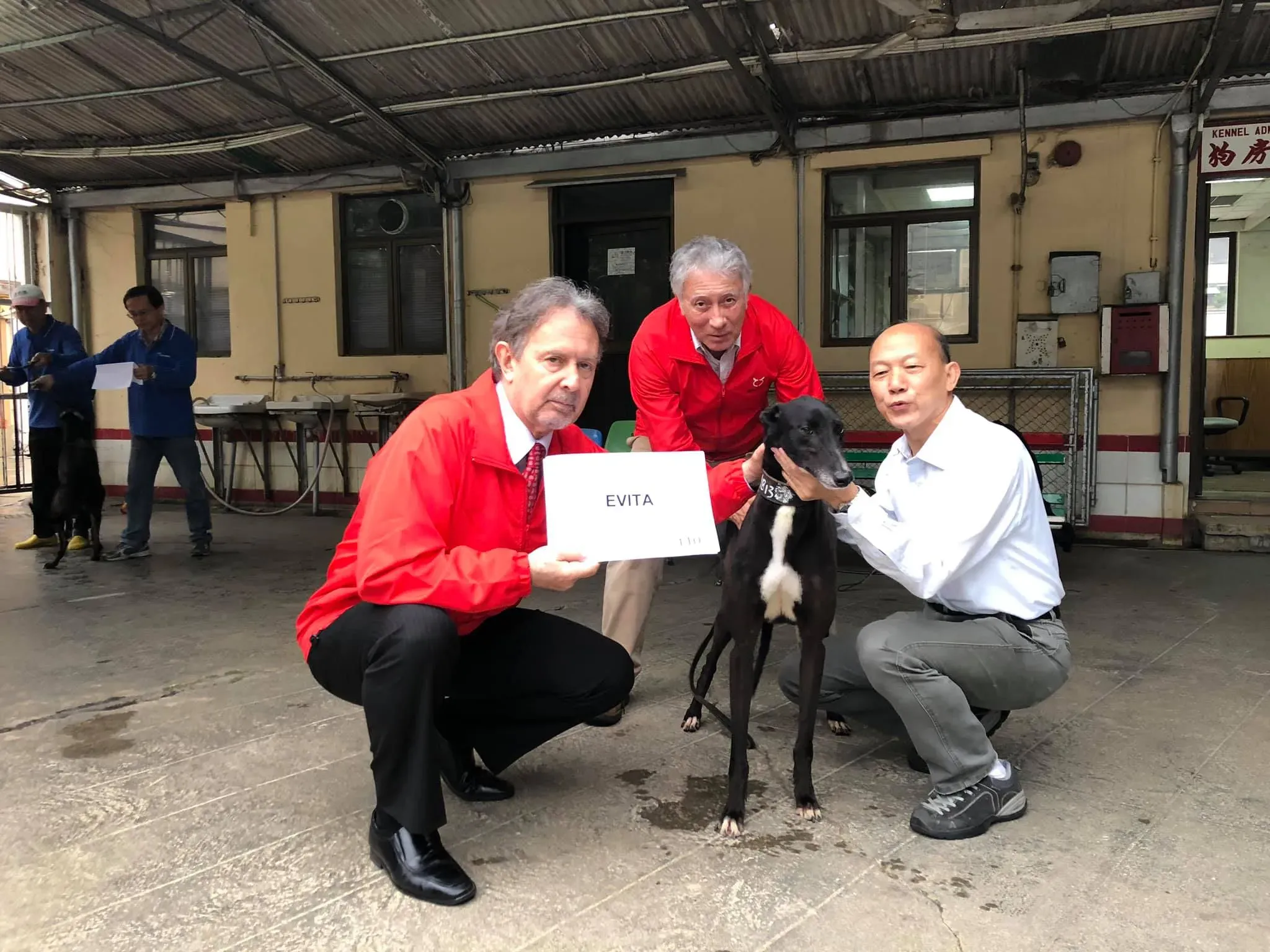evita partenza greyhound macao