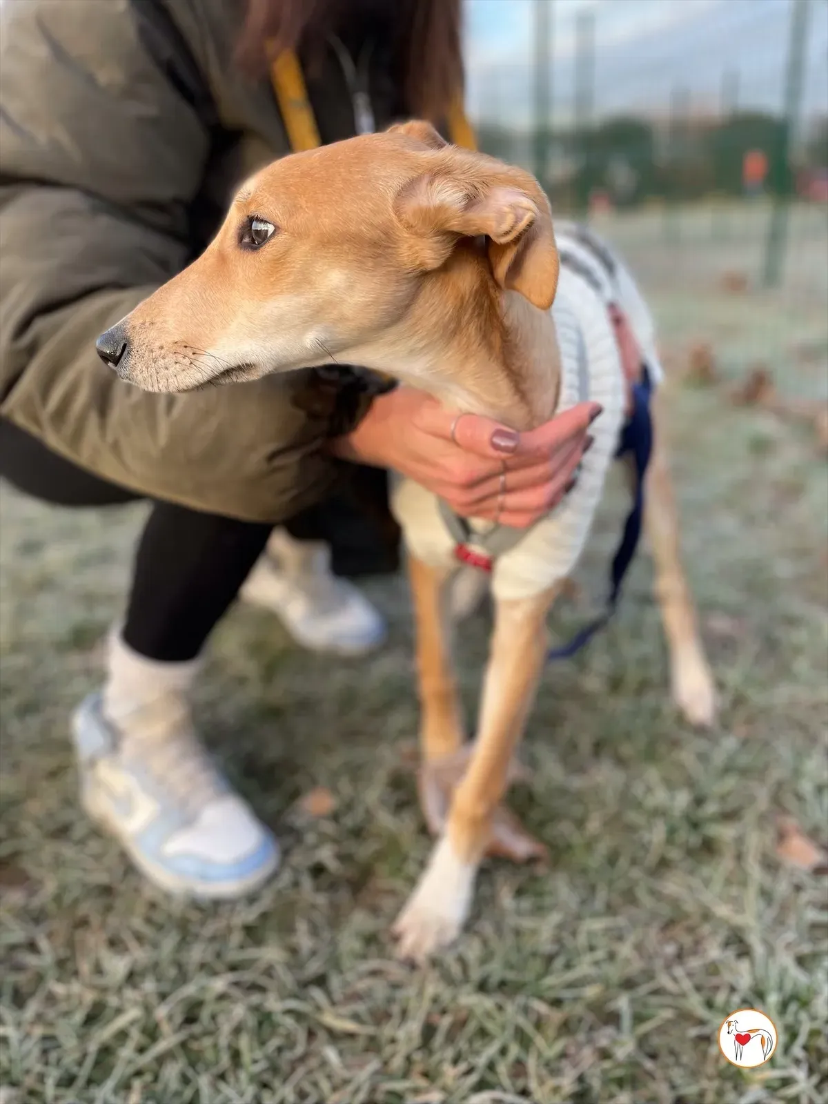 ezy watermark 03 03 2025 10 22 14 2680pm