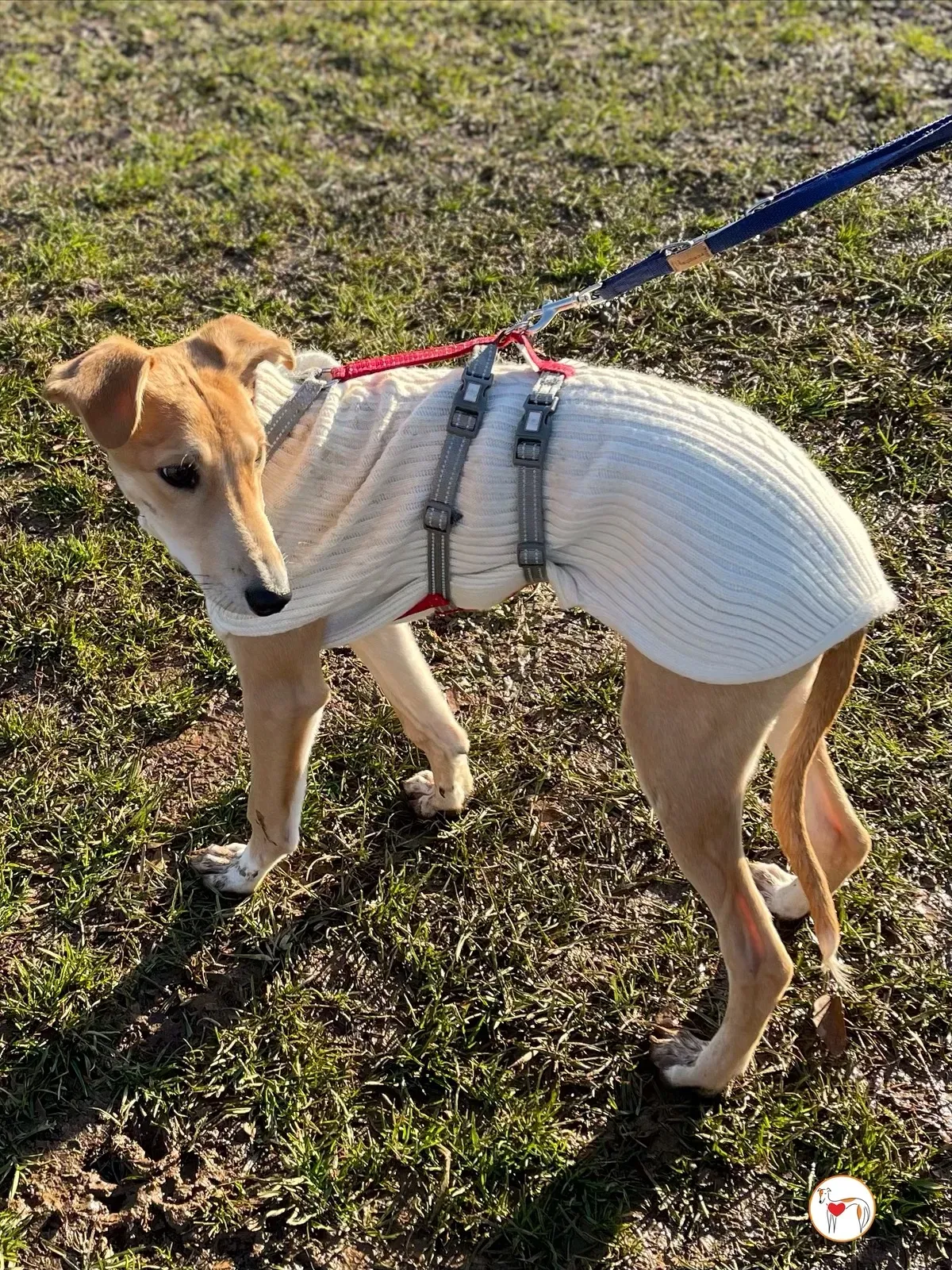 ezy watermark 03 03 2025 10 24 04 9210pm