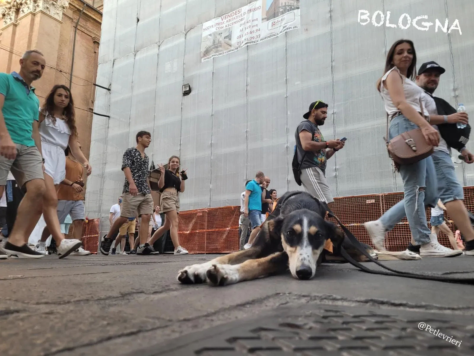 f1a2ef26 4f8b 4a61 b16c d7d60ea21ae8 risultato